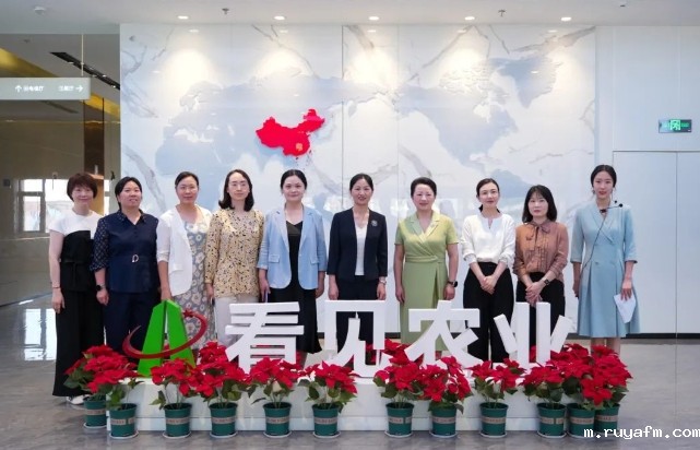 省妇联党组成员、副主席陈艳英一行调研雨花区“三新”妇联组织建设工作